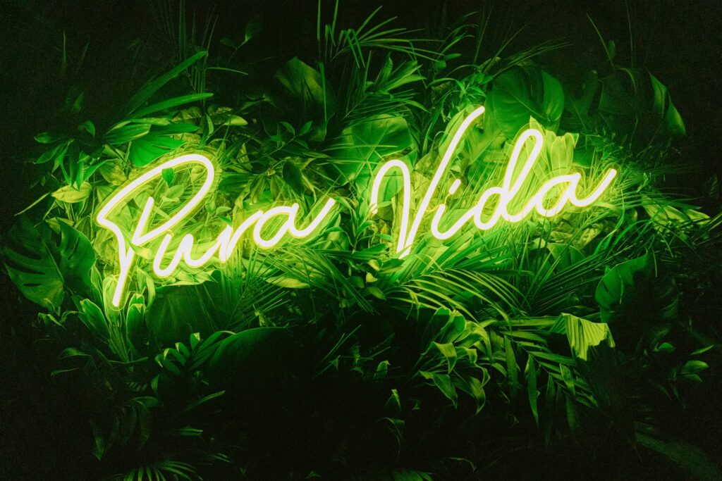 Pura Vida wedding neon sign